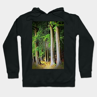 Cotswolds Trees Hoodie